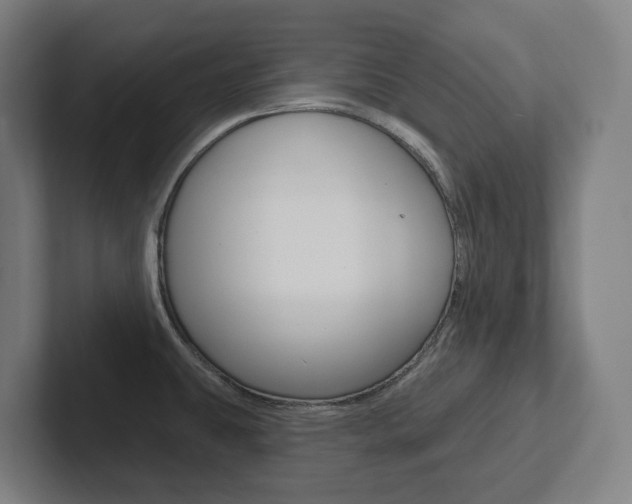X0000102871431200808181036