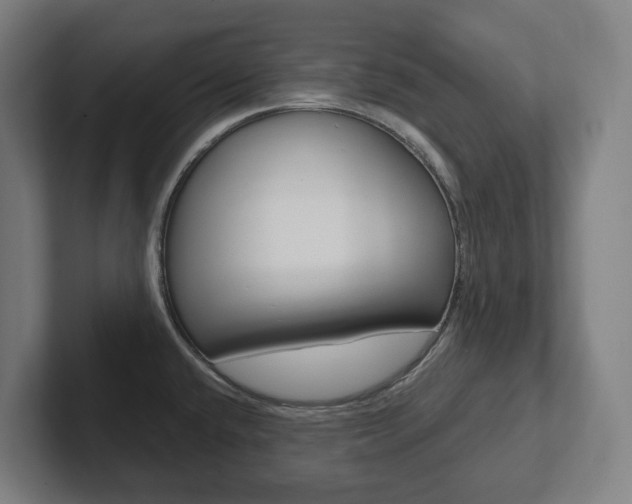 X0000102871432200808181037