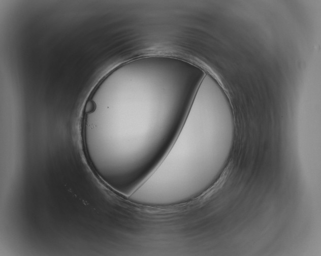 X0000102871434200808181037