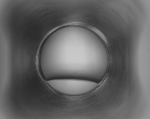 X0000102871436200808181037