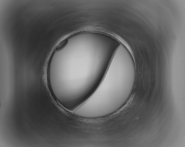 X0000102871437200808181037