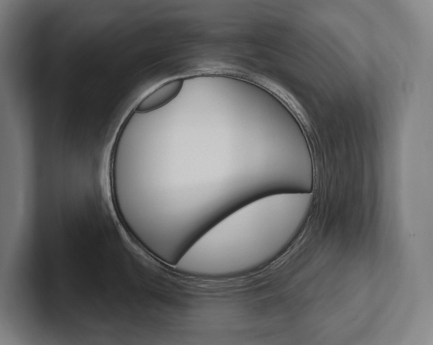 X0000102871439200808181037