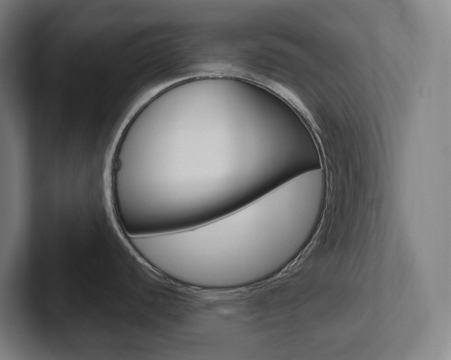 X0000102871440200808181037