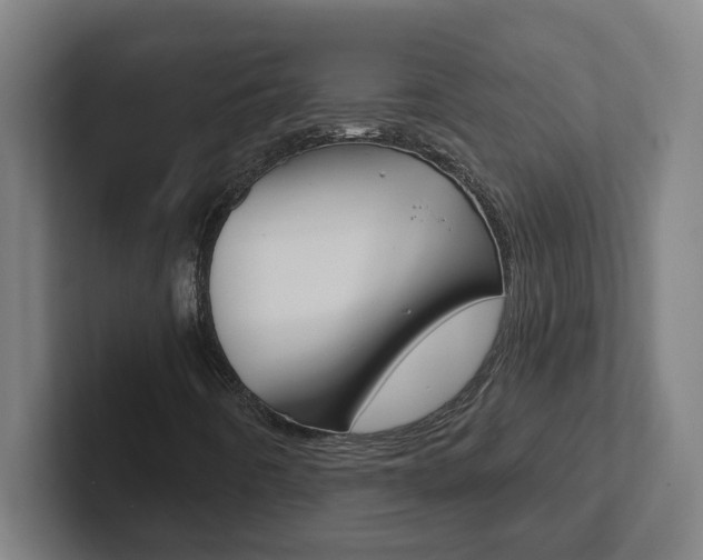 X0000102871442200808181036