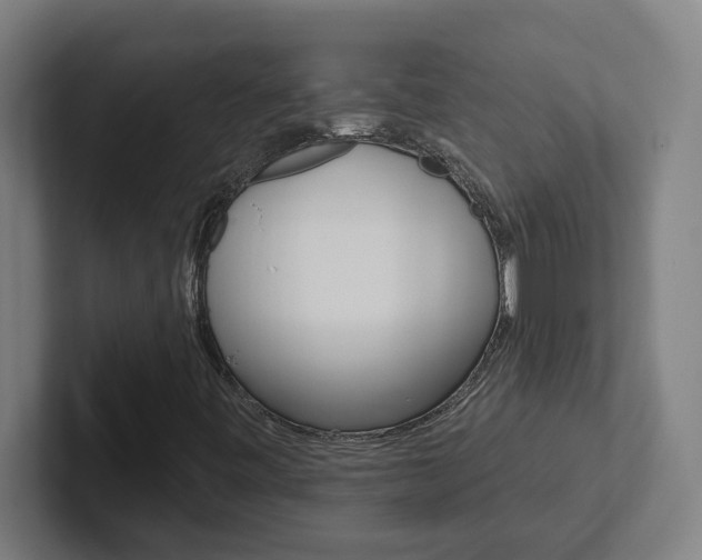 X0000102871443200808181036