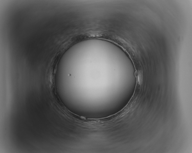 X0000102871444200808181036