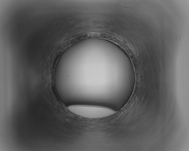 X0000102871445200808181036