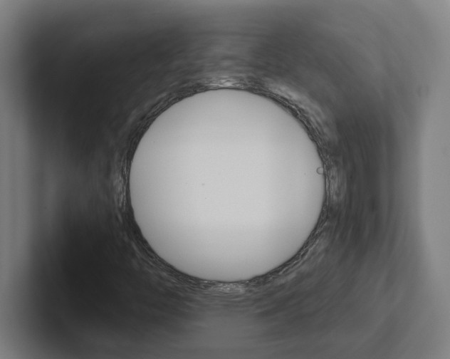 X0000102871446200808181036