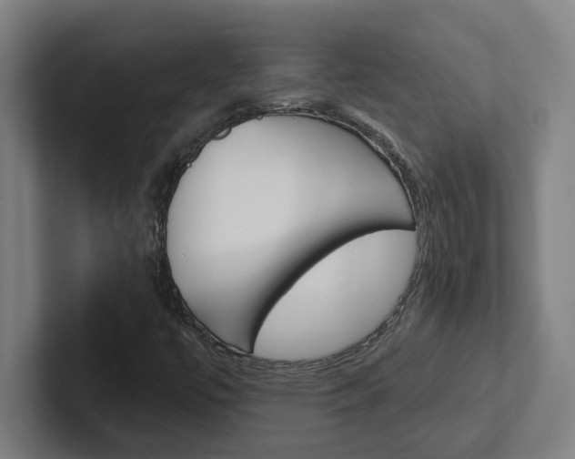 X0000102871447200808181036