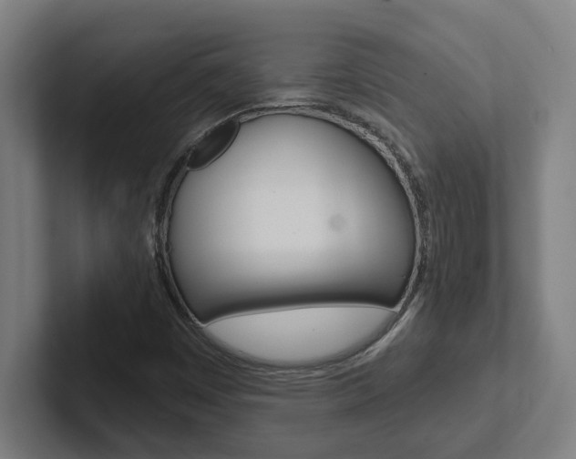 X0000102871449200808181036
