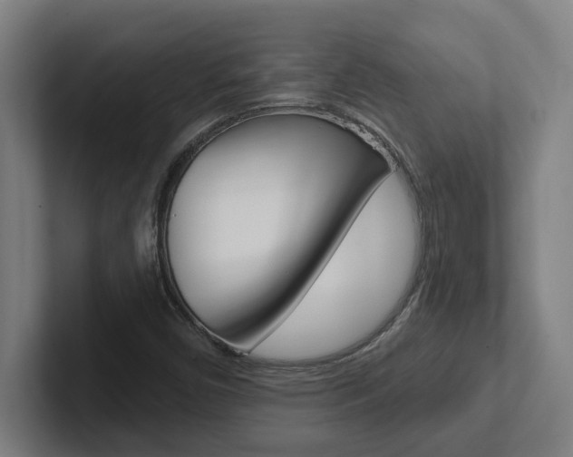 X0000102871450200808181036