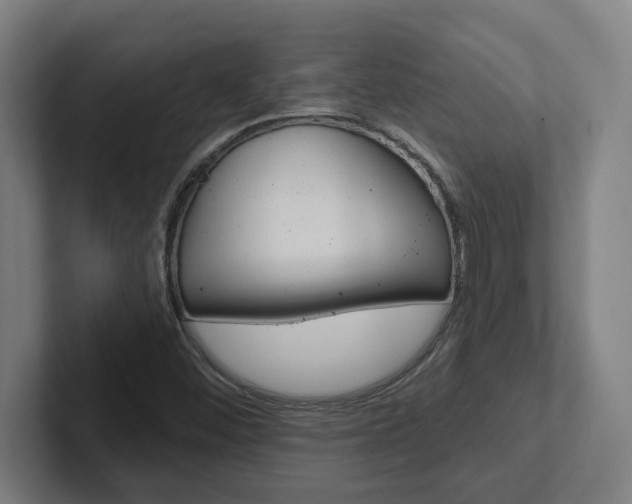 X0000102871452200808181036