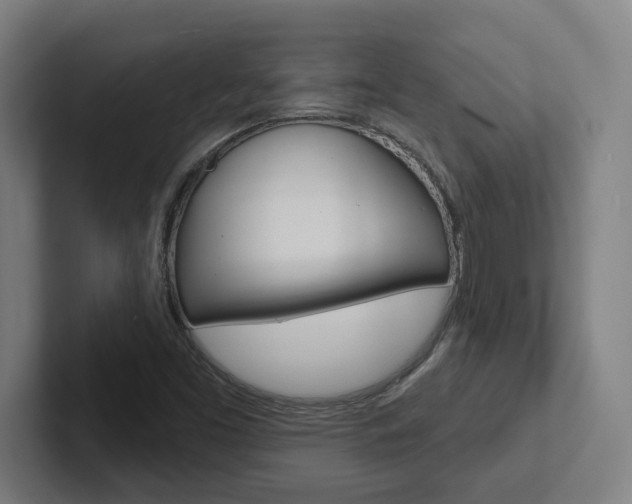 X0000102871453200808181036