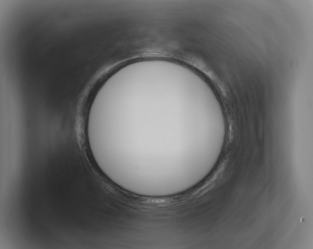 X0000102871454200808181036