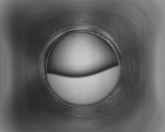 X0000102871456200808181036
