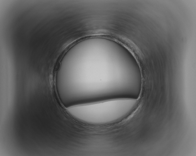 X0000102871457200808181036