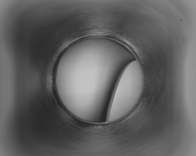 X0000102871459200808181036