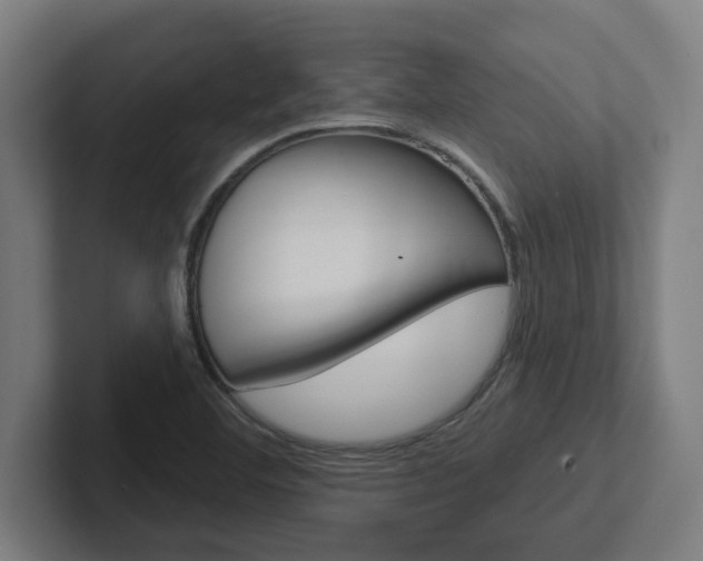 X0000102871460200808181036