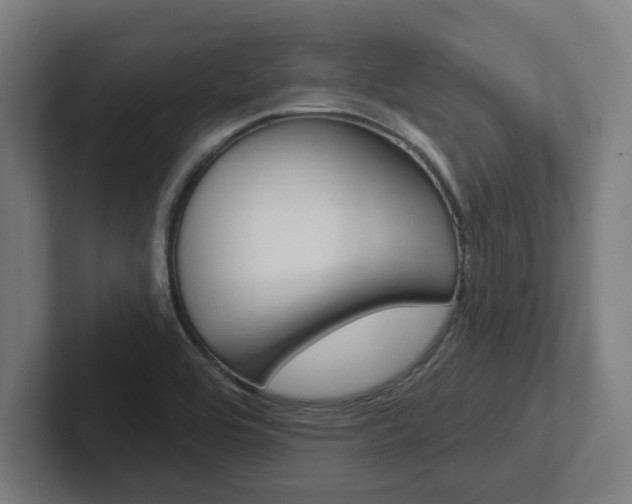 X0000102871464200808181036