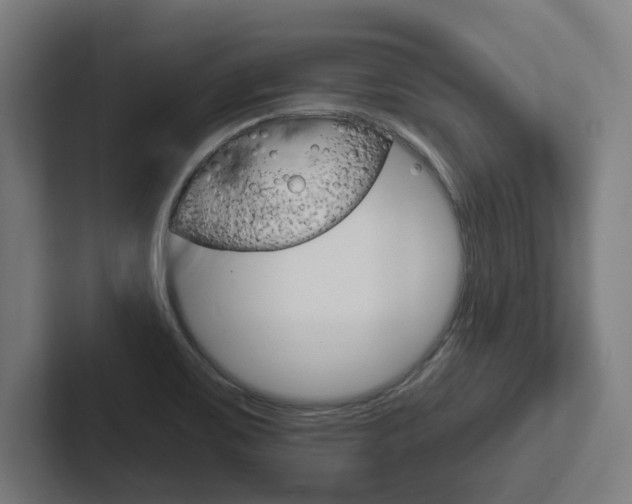 X0000102871467200808181036
