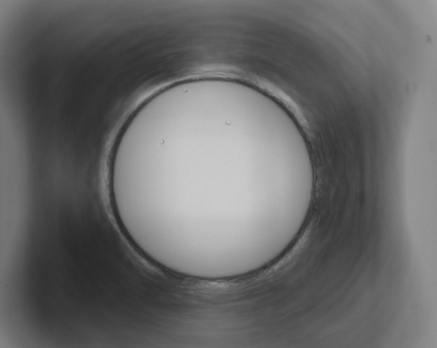 X0000102871470200808181036
