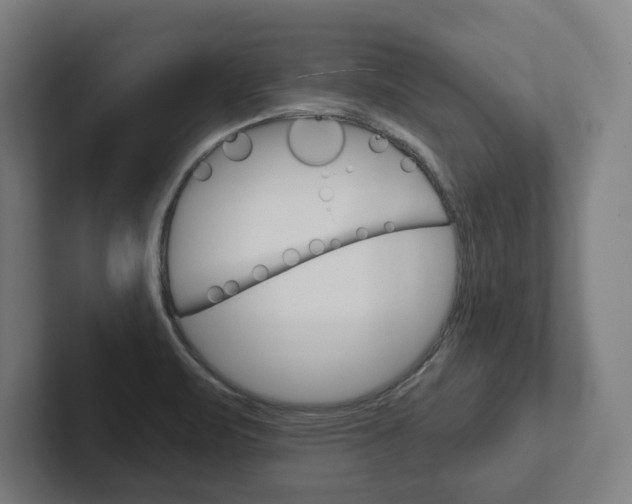 X0000102871471200808181036