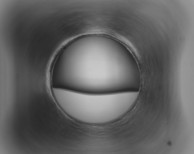 X0000102871472200808181036