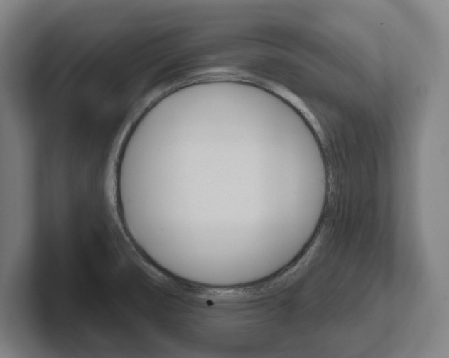 X0000102871474200808181036