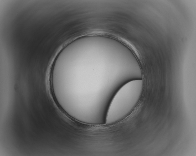 X0000102871475200808181036