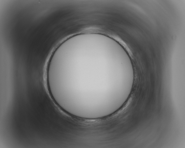 X0000102871478200808181035