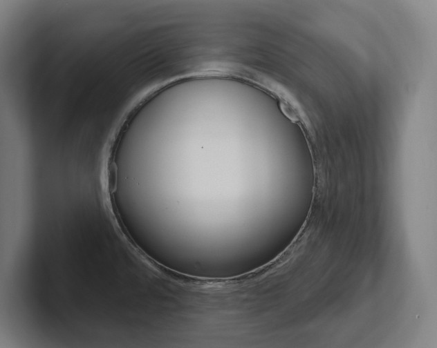 X0000102871480200808181035