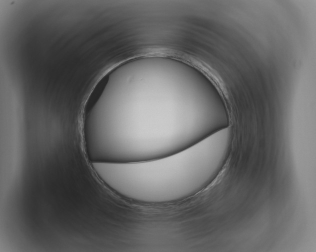 X0000102871481200808181035
