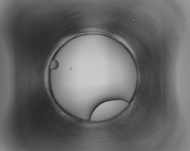 X0000102871482200808181035