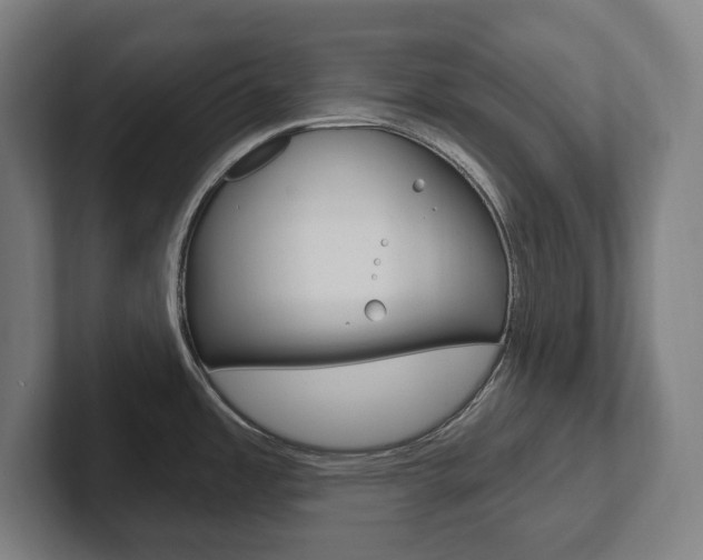 X0000102871485200808181035