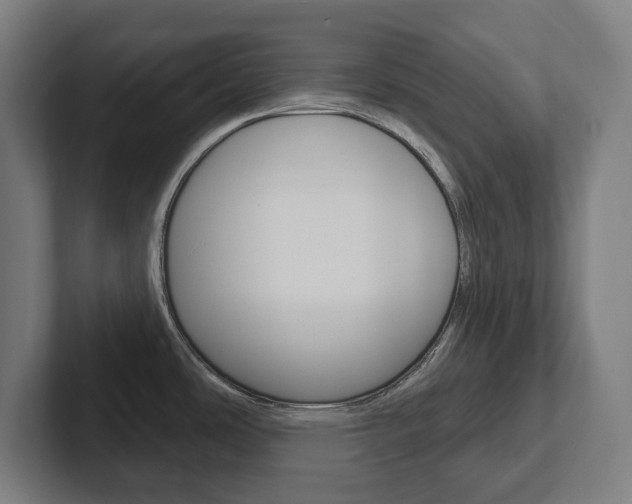 X0000102871486200808181035