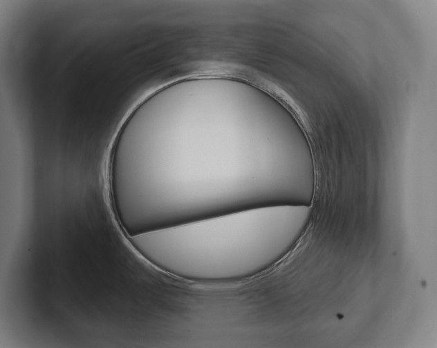 X0000102871487200808181035