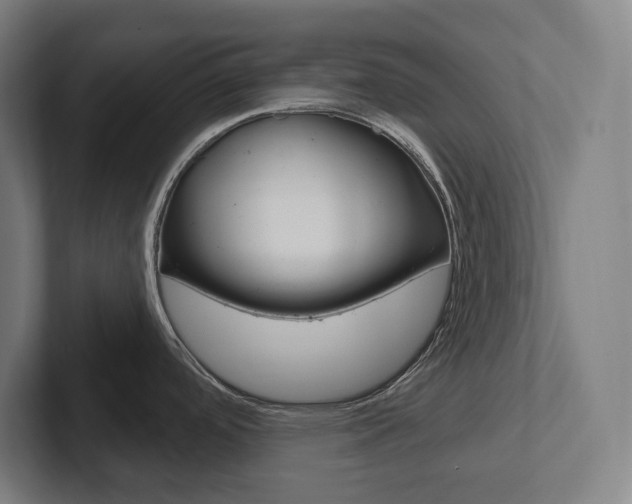 X0000102871488200808181035