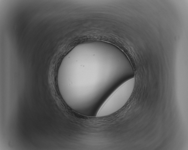 X0000102871489200808181035