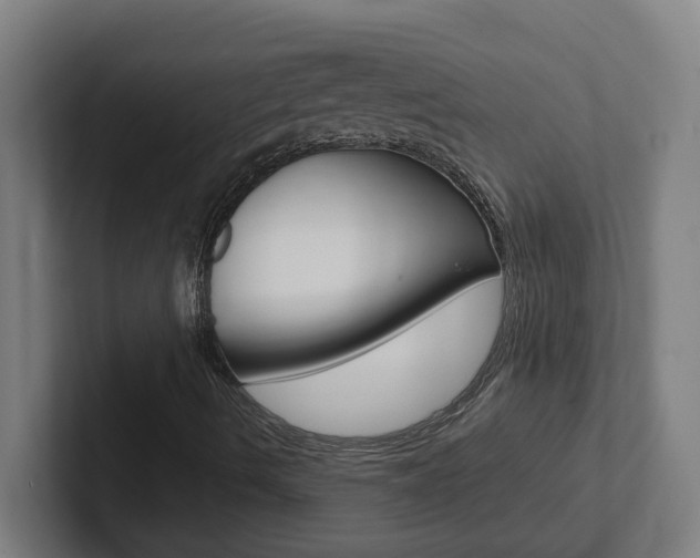 X0000102871490200808181035