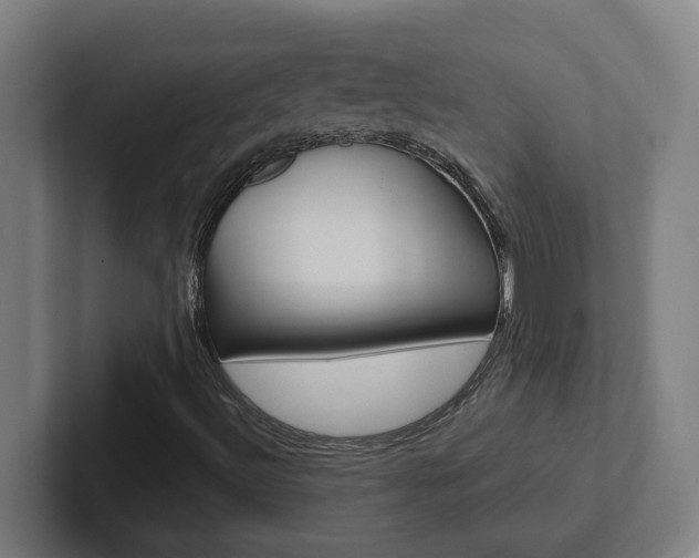 X0000102871492200808181035