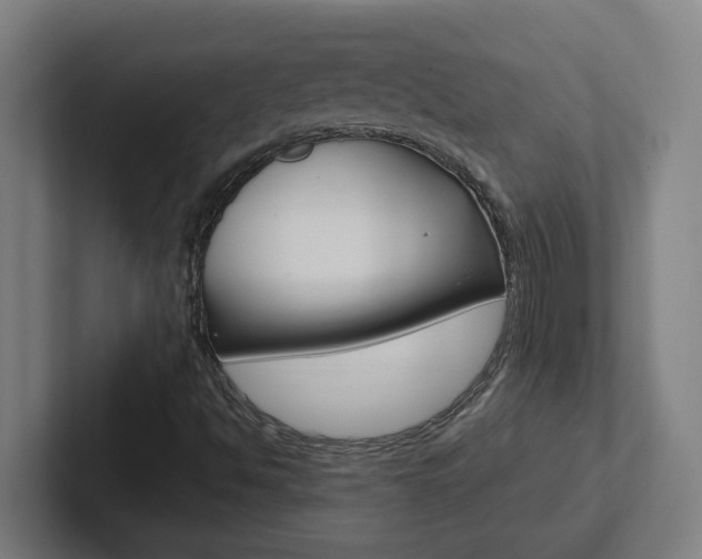 X0000102871494200808181035