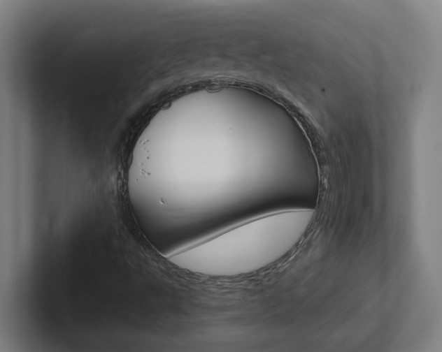 X0000102871495200808181035
