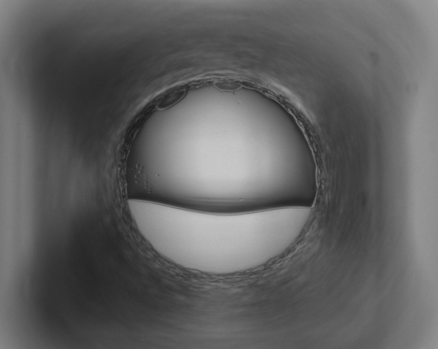 X0000102871496200808181035