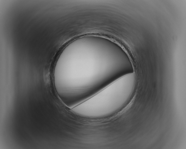 X0000102871497200808181035