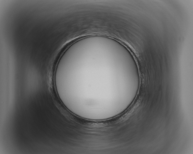 X0000102871499200808181035