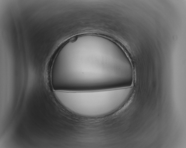 X0000102871501200808181035