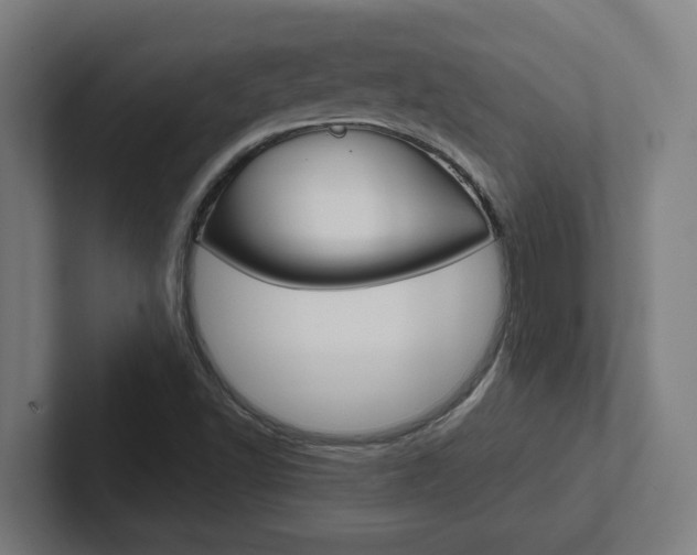 X0000102871502200808181035