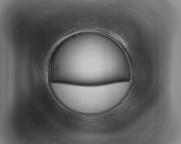 X0000102871504200808181035