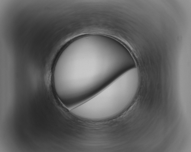 X0000102871507200808181035