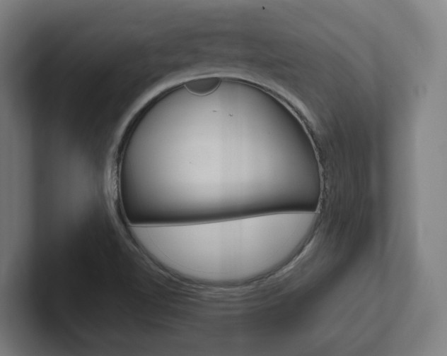 X0000102871510200808181035